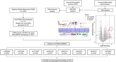 GRB10 rs1800504 Polymorphism Is Associated With the Risk of Coronary Heart Disease in Patients With Type 2 Diabetes Mellitus